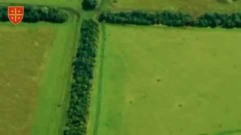 Ukraine artillery strikes Russian positions in EXPLOSIVE footage