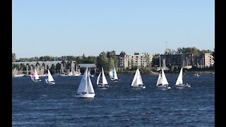 A Beautiful Day To Sail