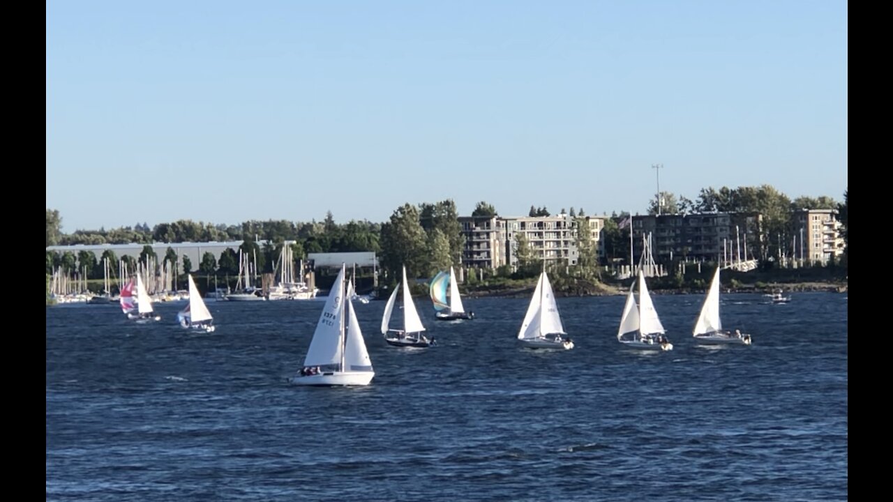 A Beautiful Day To Sail