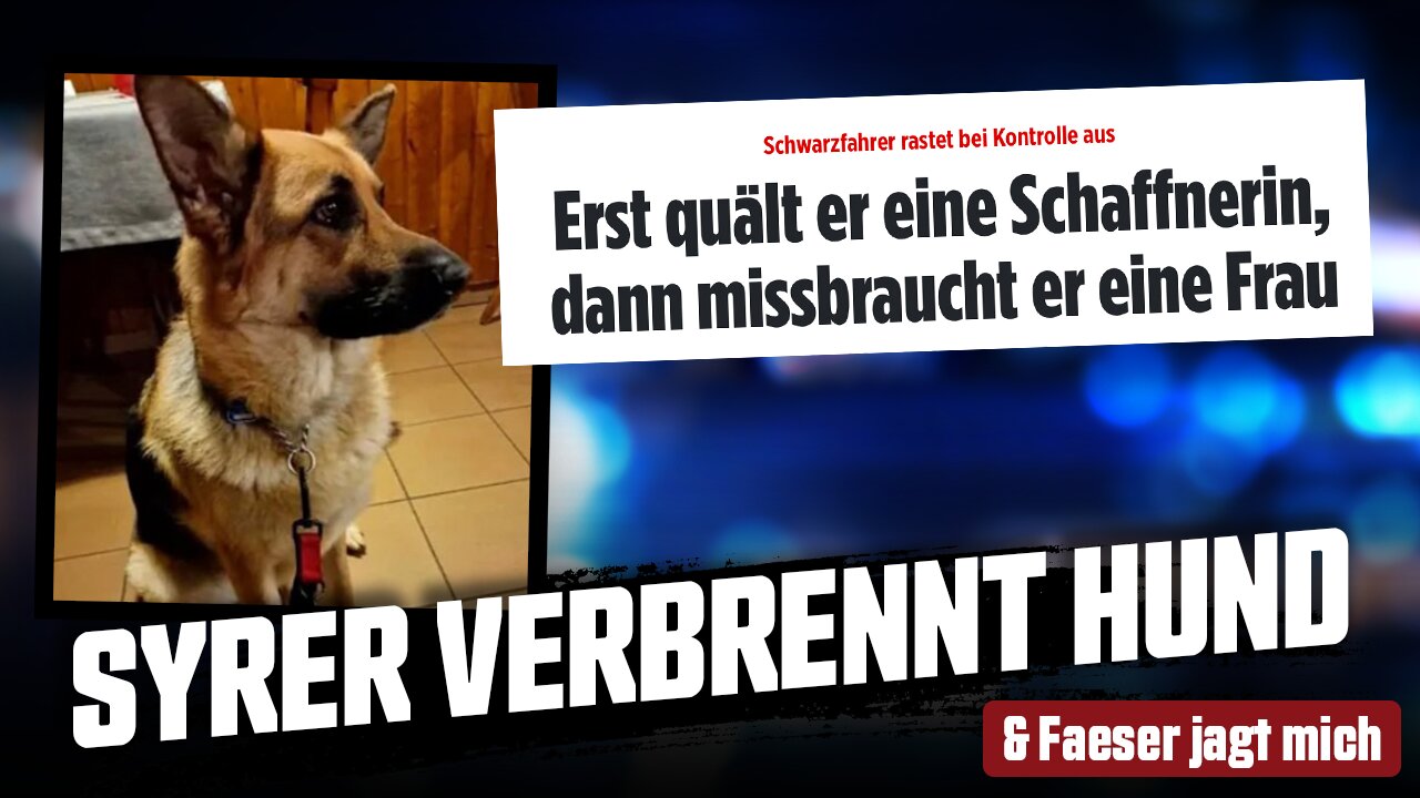 Syrer verbrennt Hund & Faeser jagt mich