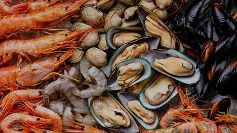 Australia Sydney Sea Food Market Vlog # Beauty of the world