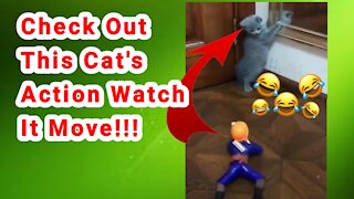 This funny cat is scared of this...!!! #Ruble