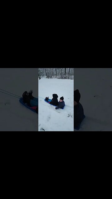 Amish Kids Horse Sledding