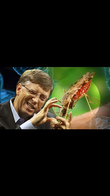 At least seven states report mosquitoes carrying a disease that has been paralysing humans