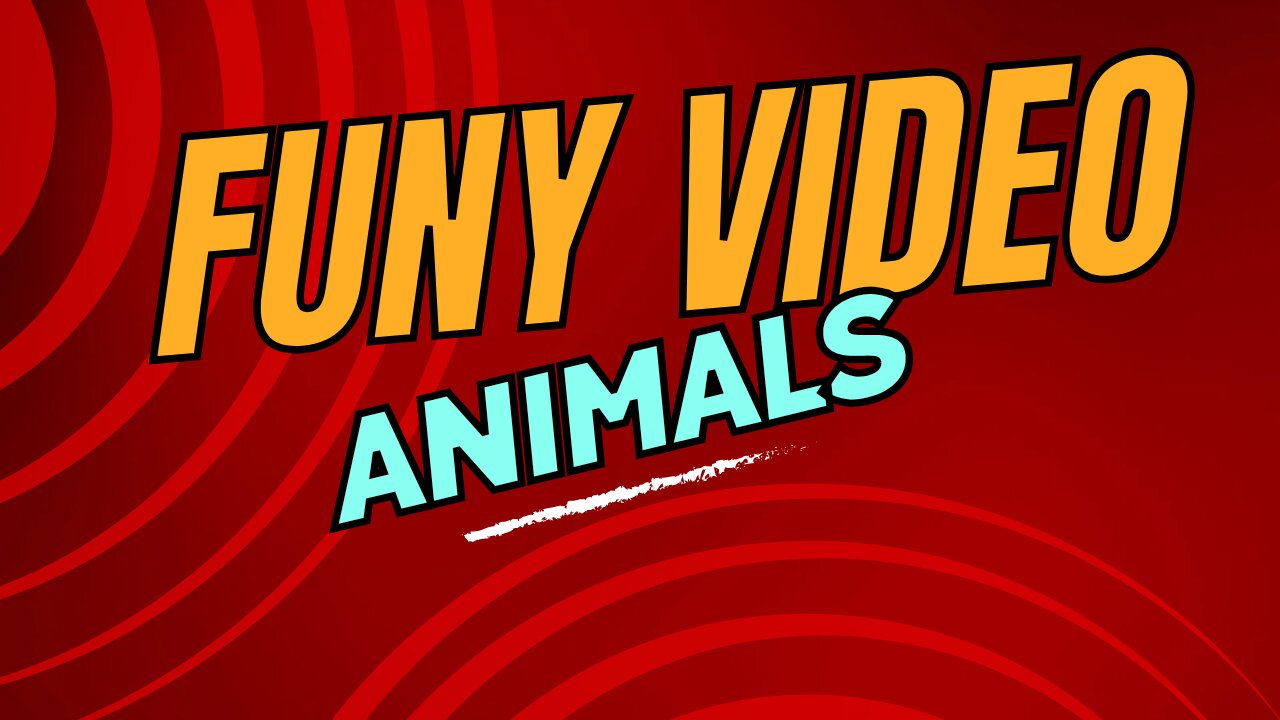 Funy video with animals