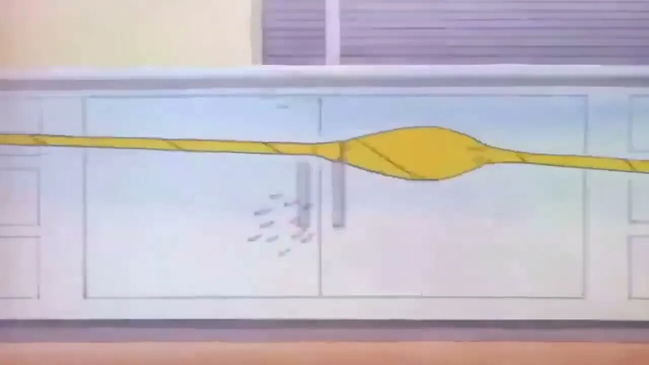 Tom And Jerry Bangla Cartoon New Dubbing Video Funny Tom And Jerry Bangla 4