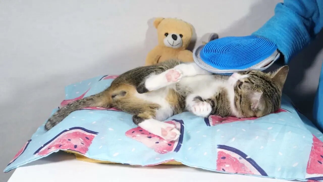 What R U Doin Human?