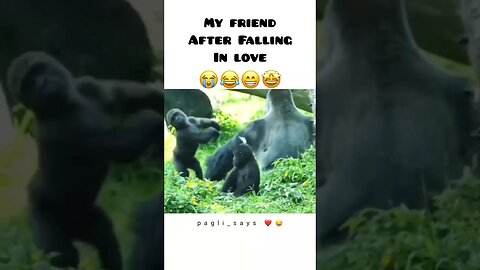 Tag your friends ❤DM for paid promotio