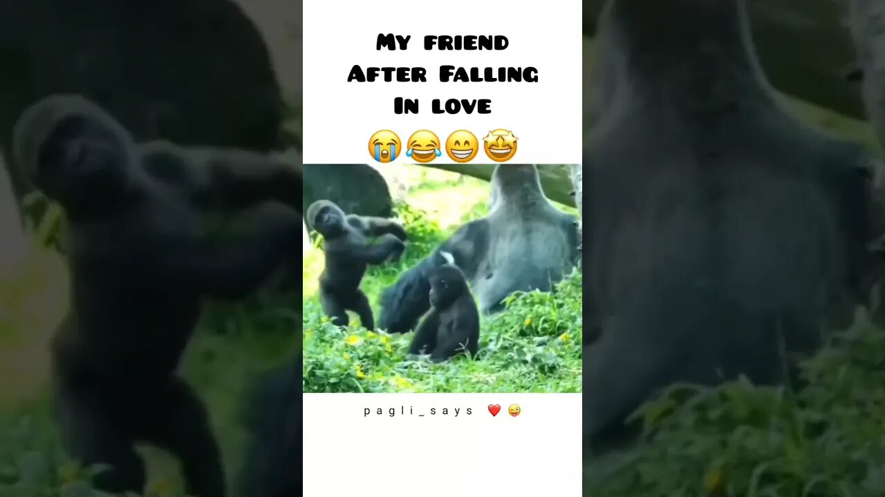 Tag your friends ❤DM for paid promotio