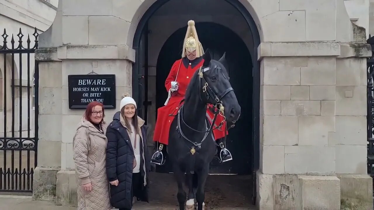 Romany gypsy horse's #horseguardsparade