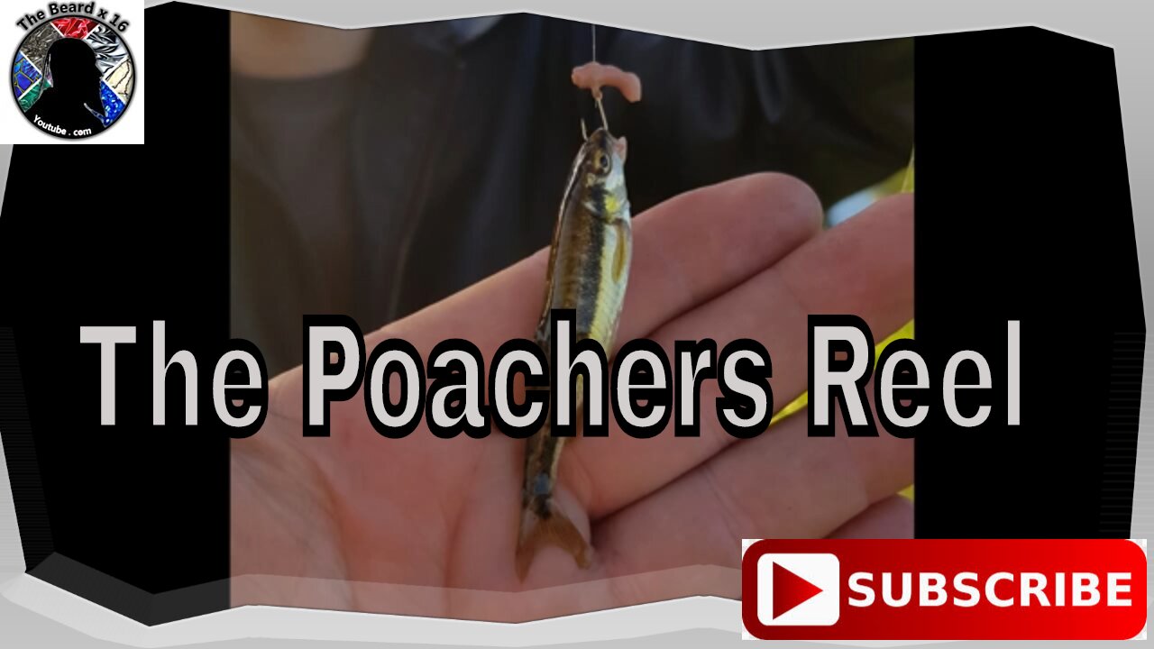 The Poachers Reel