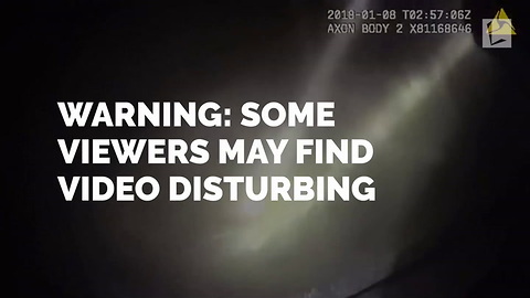 Cops Find Dog in Rubble of Burning Building. Body Cam Shows Moment They Saved His Life