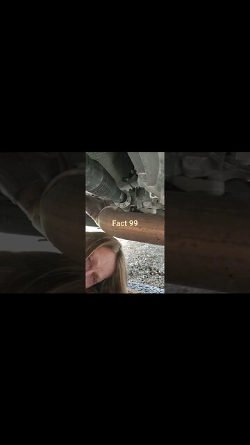 True Fact 99 about The Hillbilly Kitchen #fact #truth #justforfun #thehillbillykitchen #life #short