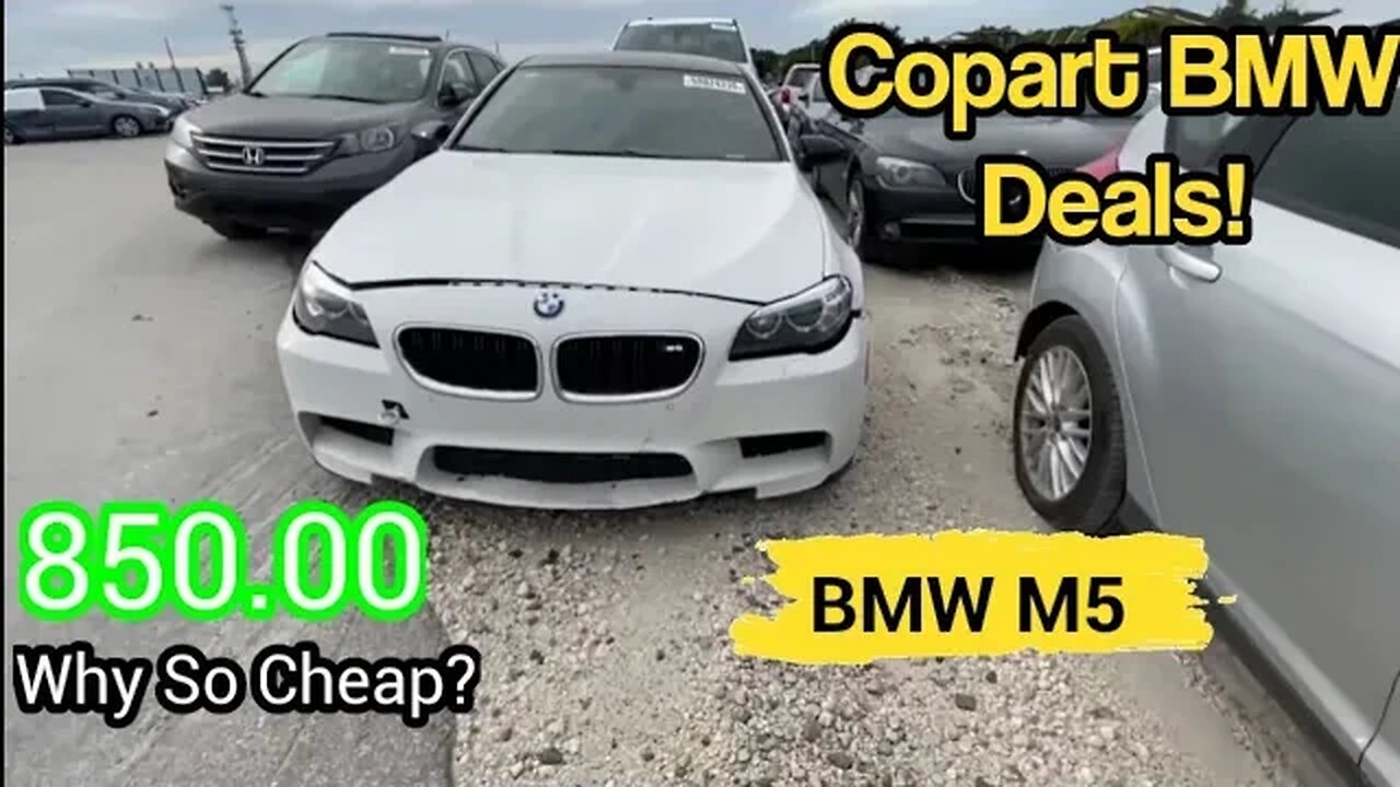 Copart Walk Around BMW M6 M5 and 550i, F250 King Ranch and Ferrari!