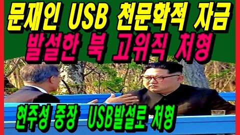 문재인 USB 천문학적 자금 발설한 북 고위직 처형