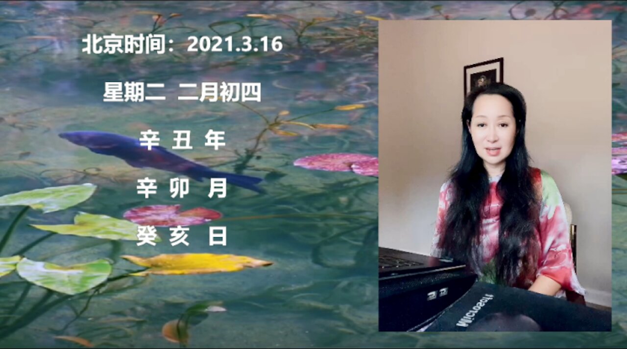 CICI讲命理：三年成为巨富的命理密码Three years is the numerological code of great wealth