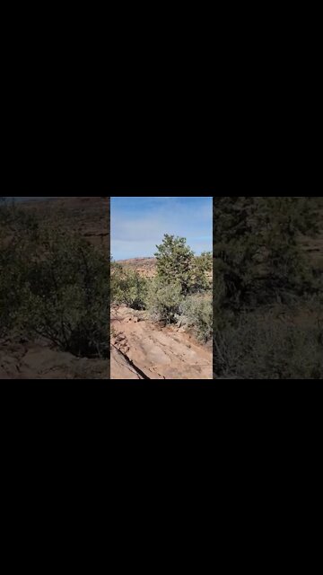 Riding the good stuff!!!