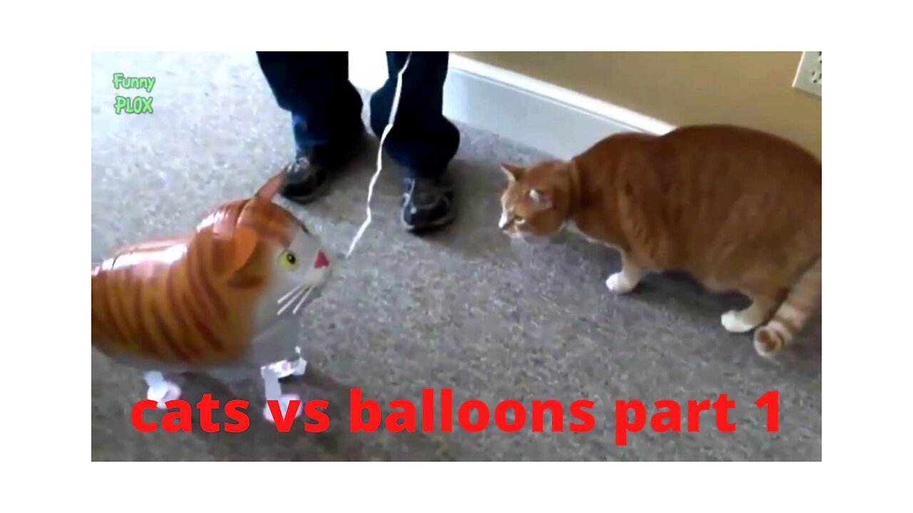 cats vs balloons 2021 pt1