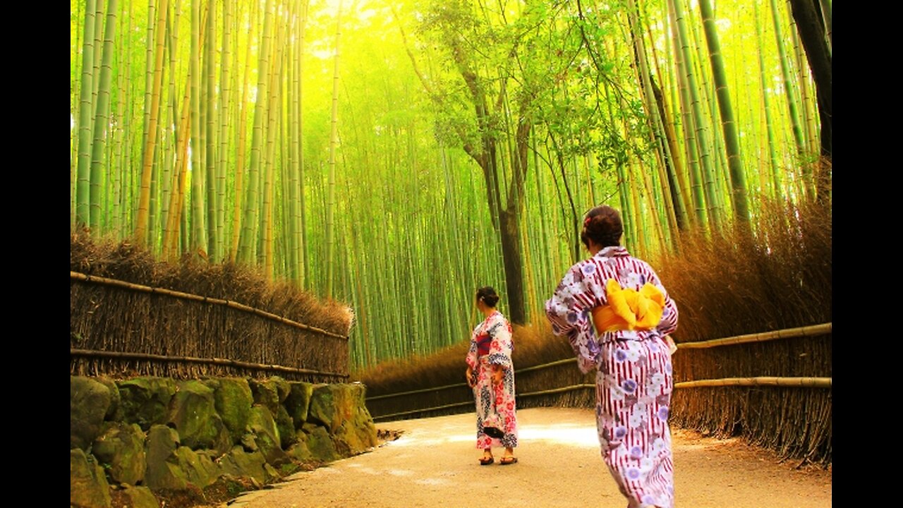 REASONS WHY I FELL IN LOVE WITH JAPAN