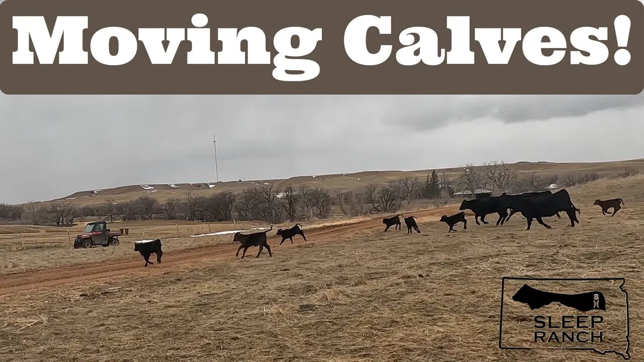 4-Wheeler Cowboys!