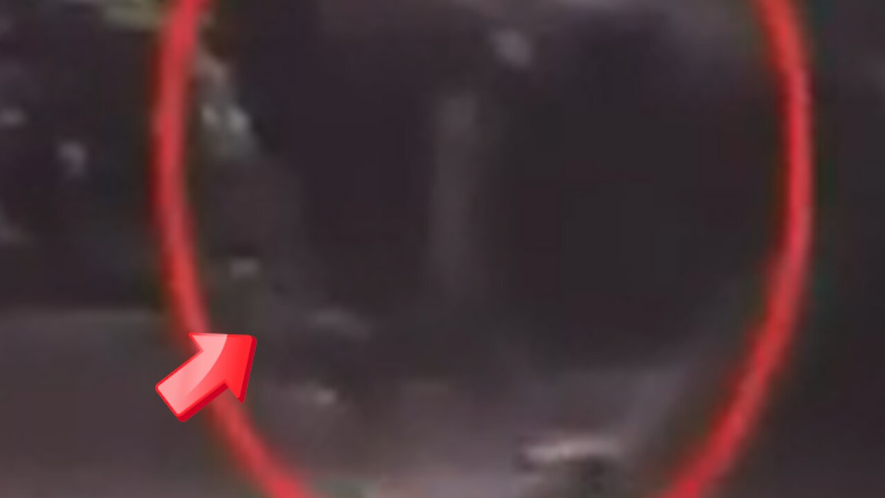 Witnessing a Gray Man Walking in the Forest [Space]