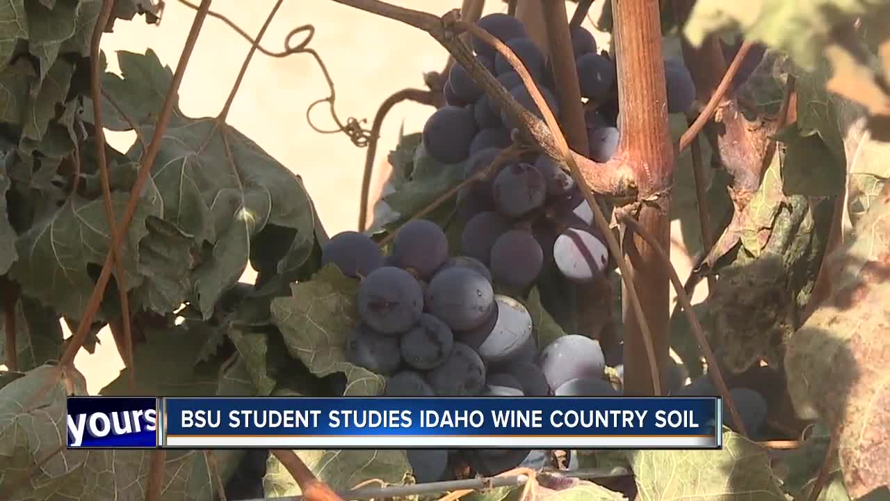 BSU student studies soil at Idaho vineyards