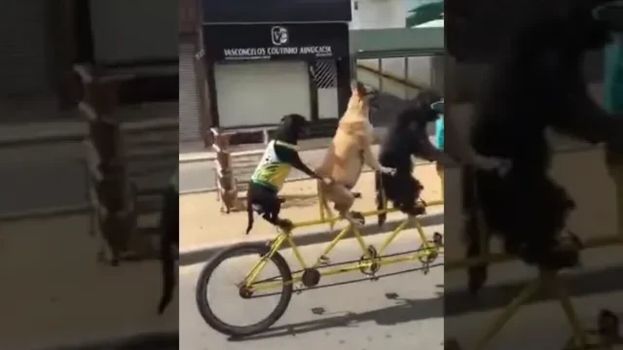 Meanwhile In Brazil A Cycle Race