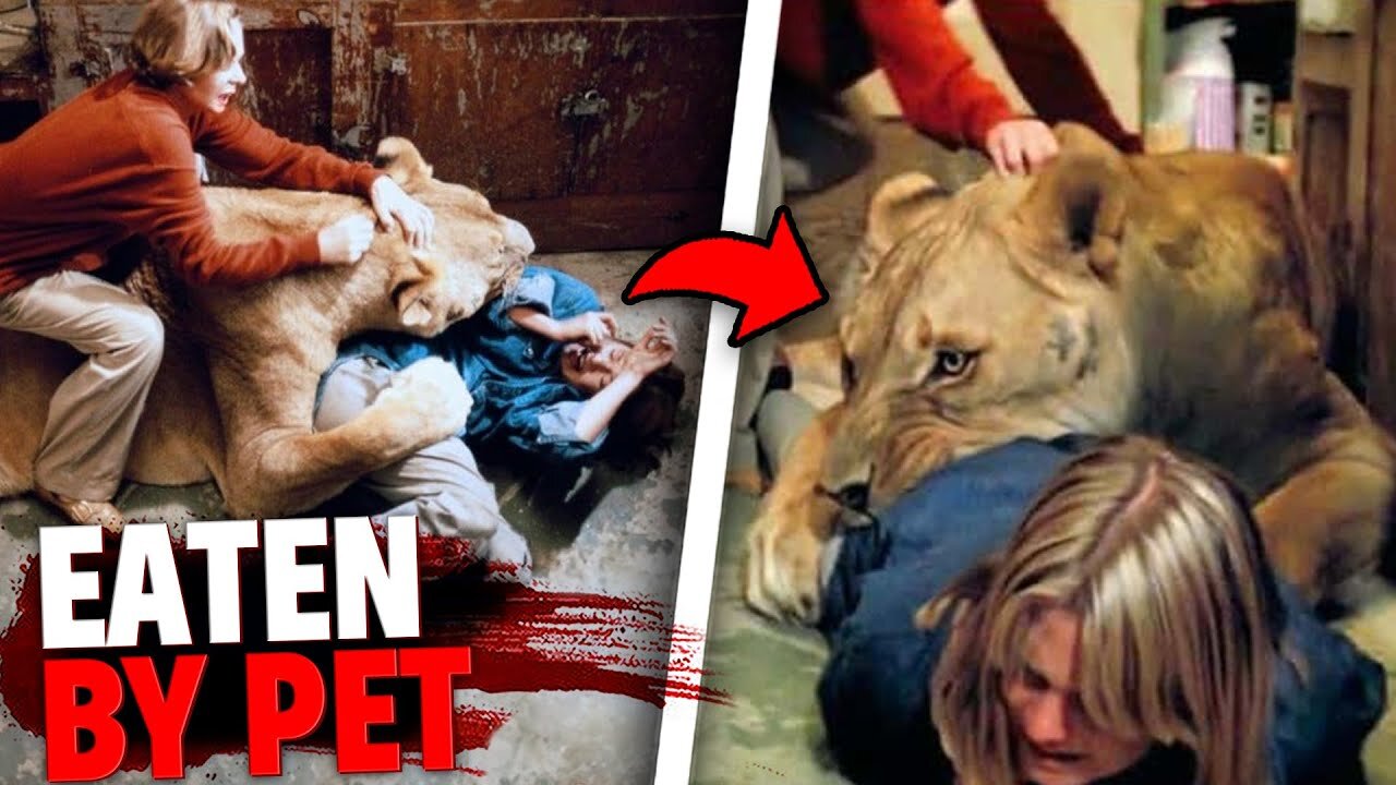 Shocking: These 3 Pets Ate Their Owners Alive in Front of Everyone! 😱