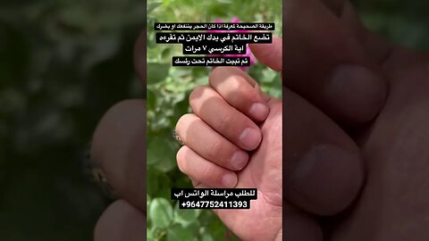 تبيت الحجر