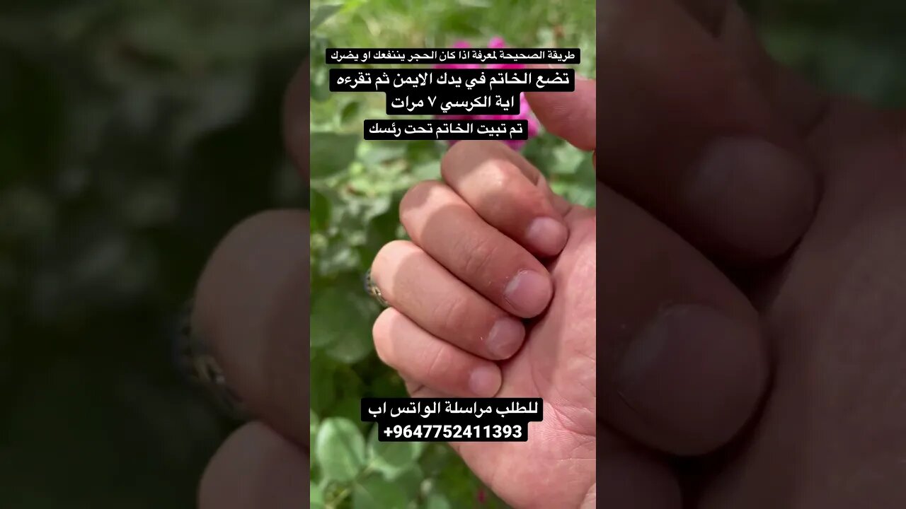 تبيت الحجر