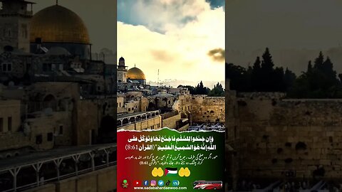 Free Palestine ⭐🇵🇸⭐ #palestine #youtubeshorts #ytshorts #freepalestine