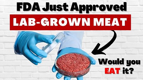 Lab Grown Meat Finally Approved By FDA - Revolutionary Technology?