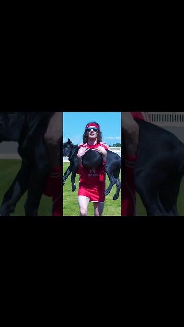 Dog Squats For Thiccc Legs #shorts #funnydogs #dog #viral