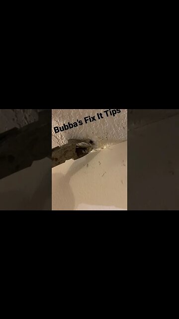 Nail Pop CURE #home#homerepair