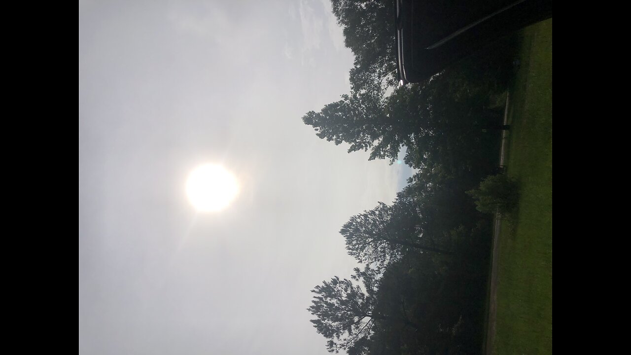 They Come