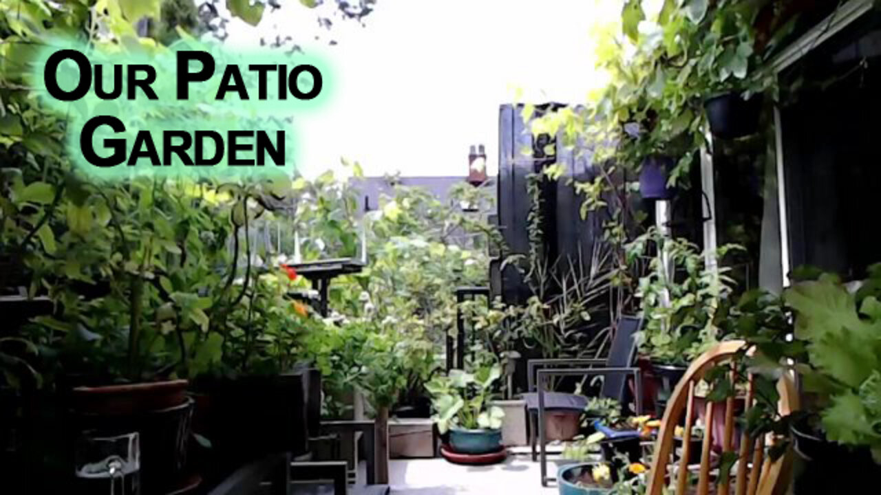 Our Patio Garden [ASMR]