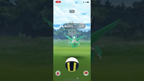 Shiny Compilation