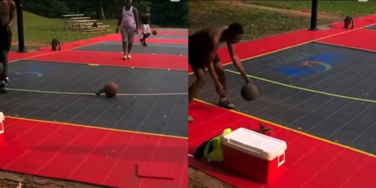 Little Squirrel Tries To Play Basketball As Well