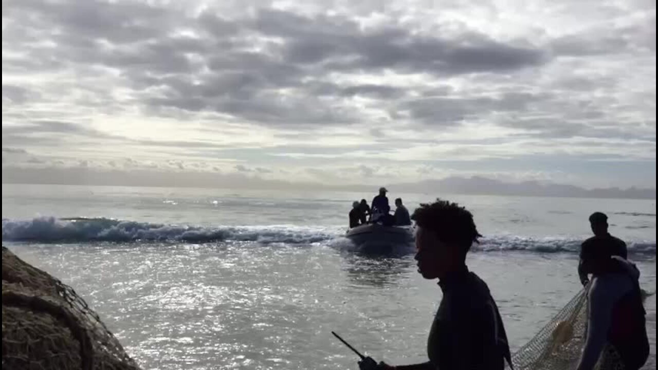 The Shark Exclusion Net keeps Fish Hoek beach safe (Video) (pPW)