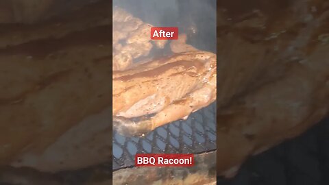 Wild Harvested BBQ Racoon!