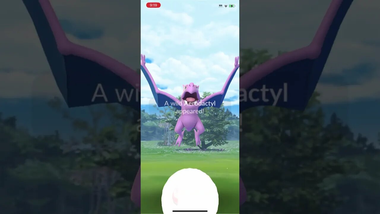 Shiny Compilation