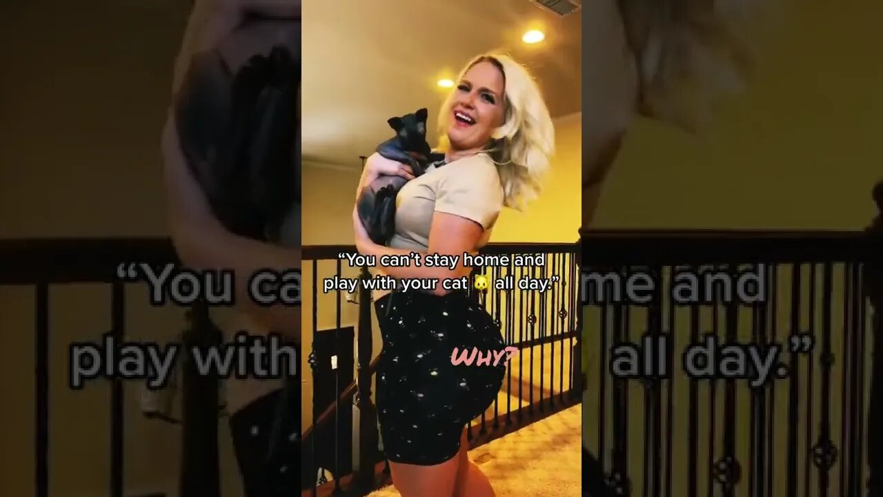 Please let me pet and play with your 🐱