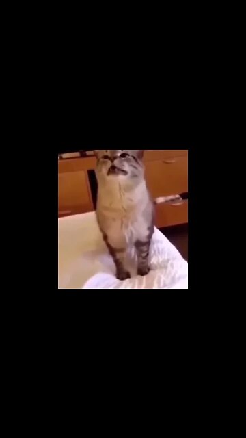 !!!ABAIXE O VOLUME!!!