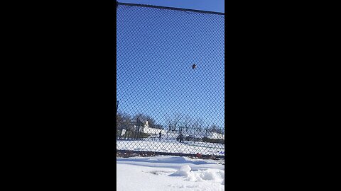 Throwing nfl regulation psi snowbl's