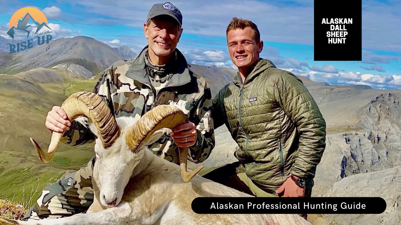 Alaskan Dall Sheep hunt