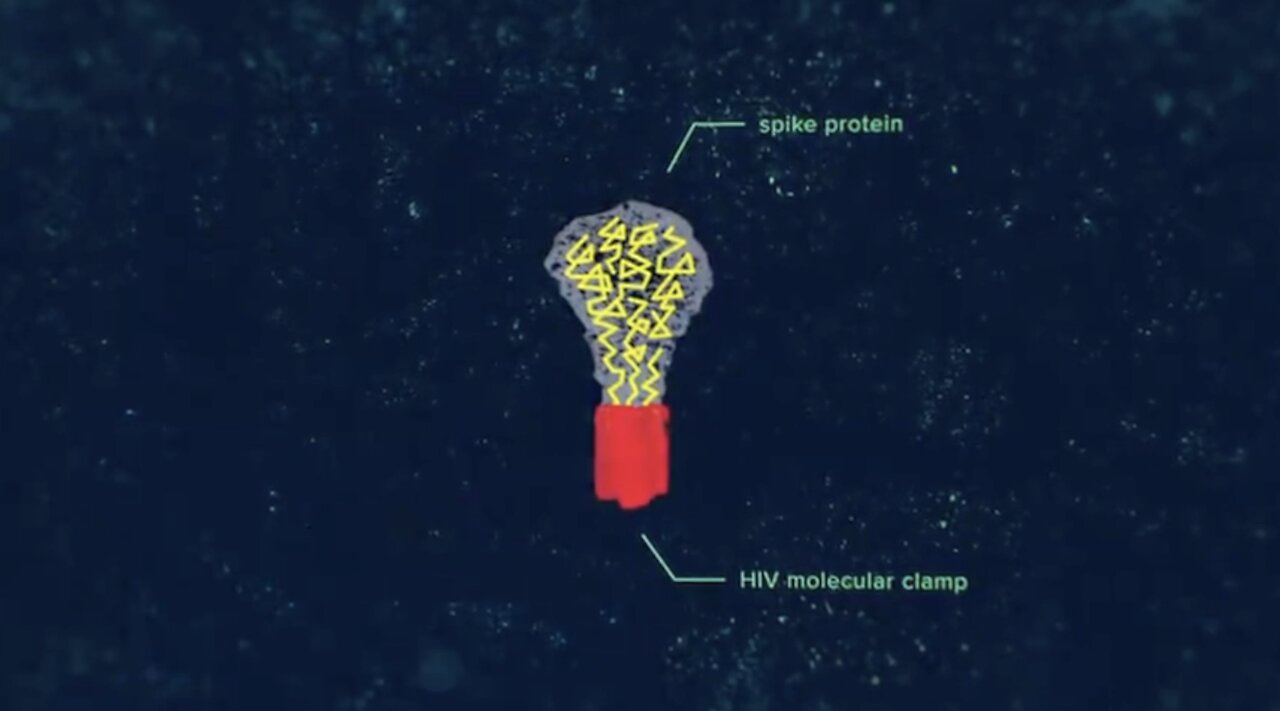 BBC Vaccine - HIV Protein