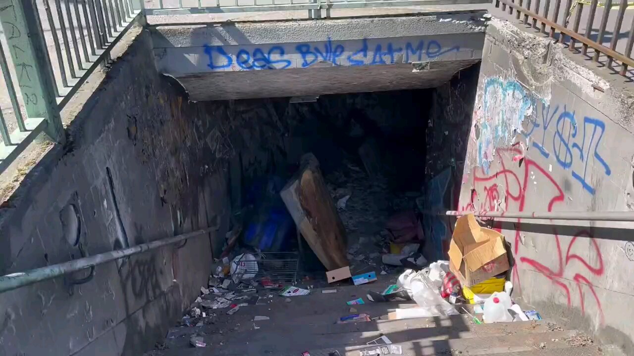 Overpass in Portland, Oregon. Coming to your neighborhood soon. Just vote Democrat!