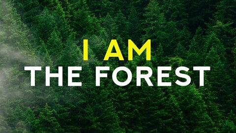 I AM the forest