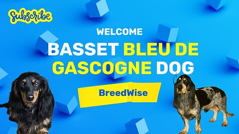 Basset Bleu de Gascogne: The Captivating Hound with a Distinctive Charm