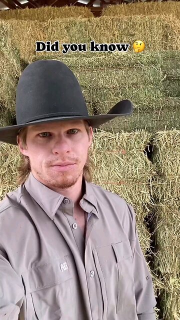 1300 Different DNA found in McDonalds Patty... WTF ⚠️